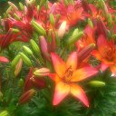 ���� �������, ������, 68 ��� - ��������� 17 ���� 2019 � ������ �2019�