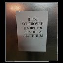 ���� �������, ������, 43 ���� - ��������� 27 ������ 2019 � ������ ������ ��������