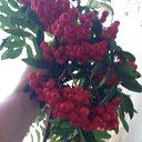 ���� Olya, ���������� - ��������� 12 ������� 2019 � ������ ���� ����������