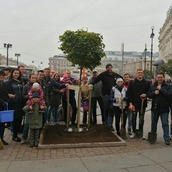 Появился список мест Центрального района, где любой желающий может посадить деревья.В списке – ...