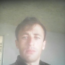 ������, ����������, 36 ���