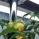 ���� ����, �������, 49 ��� - ��������� 28 ������ 2019 � ������ ��������� ��������