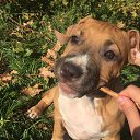 ���� ������, ������, 59 ��� - ��������� 28 ������� 2019 � ������ ���� ����������