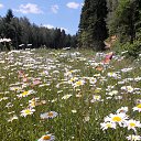 ���� �������, ������������ - ��������� 25 ���� 2019 � ������ ���� ����������