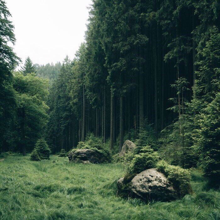    ? #nature@travel.blog