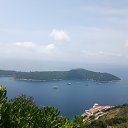 ���� Daiva, ������� - ��������� 14 ������� 2019 � ������ ���� ����������