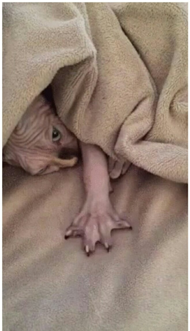 ������ �� ���... - 17 ������� 2019 � 15:30