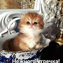 ���� ������, ����, 57 ��� - ��������� 16 ������� 2019 � ������ ���� ����������