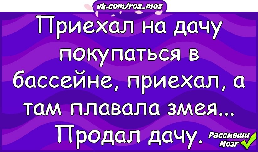 Нормальные шутки. Давайте познакомимся надпись. Приезжайте там и познакомимся. Поехала одна красавица отдохнуть от мужа на юга. Давайте знакомиться картинки.