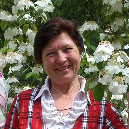 ��������, ����, 75 ���