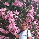  , --, 55  -  13  2019    