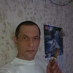 �����, �������, 55 ���