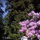 ���� ������, �����-���������, 53 ���� - ��������� 8 ���� 2019 � ������ ���� ����������