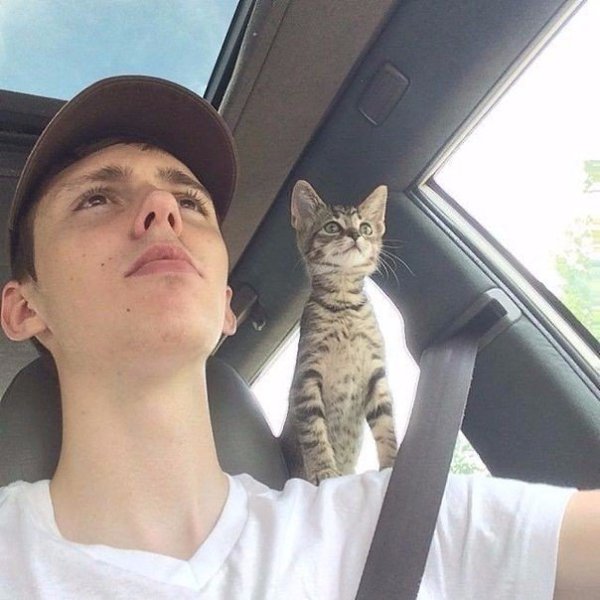 Вместе навстречу приключениям.#animal@travel.blog