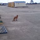 ���� �������, �����-�������, 48 ��� - ��������� 7 ���� 2019 � ������ ���� ����������