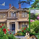 ���� �������, ������ ��������, 67 ��� - ��������� 22 ���� 2019 � ������ ������ ����� ���ۻ