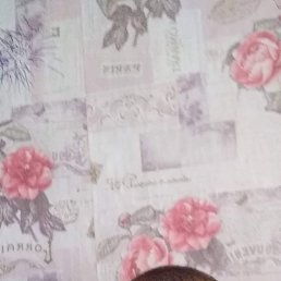 Vasea, �������, 38 ���