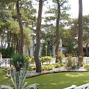 ���� ������, ����������� - ��������� 16 ������� 2019 � ������ ������ � ���������