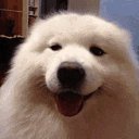 ���� �����, ������, 53 ���� - ��������� 26 ������� 2019