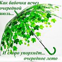 ���� ������, �����-���������, 73 ���� - ��������� 1 ������� 2019 � ������ ������ ��������