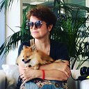 ���� �����, ������ - ��������� 8 ������ 2019