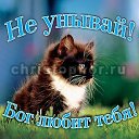 ���� ������, ��������� - ��������� 24 ������ 2019 � ������ ���� ����������
