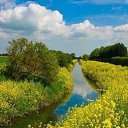 ���� ����, ������, 71 ��� - ��������� 12 ������� 2019 � ������ ���� ����������