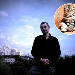 ���� ��������, ������, 40 ��� - ��������� 14 ���� 2019