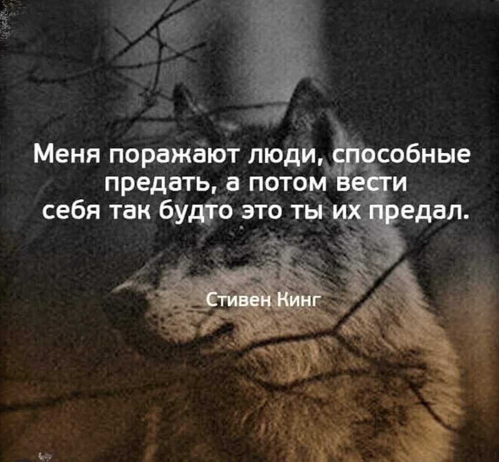 =Fox= - 24  2019  00:05