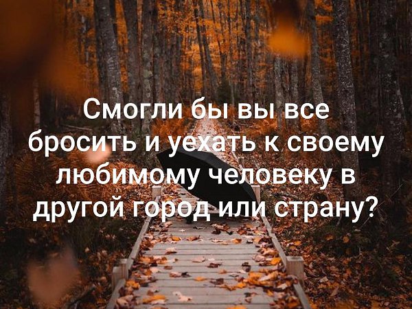  - 26  2019  02:29