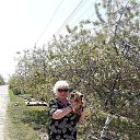 ���� ��������, ������� - ��������� 11 ��� 2019 � ������ ���� ����������