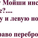 ���� ����, �����������, 63 ���� - ��������� 2 �������� 2019 � ������ ������ ��������