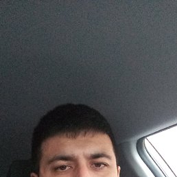 ����, �����-���������, 38 ���