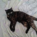 ���� �����, ���������, 51 ��� - ��������� 19 ������ 2019 � ������ ���� ����������