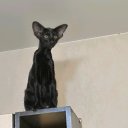 ���� ���������, �����������, 54 ���� - ��������� 24 �������� 2019 � ������ ���� ����������