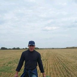 ���� �������, �����, 40 ��� - ��������� 19 ������� 2019