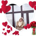 ���� ����, ���� - ��������� 15 ������ 2019 � ������ ���� ����������