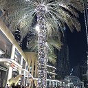 ���� �����, ������ - ��������� 11 ��� 2019 � ������ ���� ����������