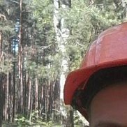 �����, , ����