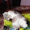 ���� Alex, ������, 39 ��� - ��������� 29 ������� 2019 � ������ ������ ��������