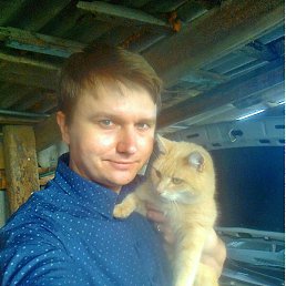 ���� �����, ������, 43 ���� - ��������� 20 ������ 2019