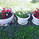 ���� Jupiter, ���������� - ��������� 15 ���� 2019 � ������ ���� ����������