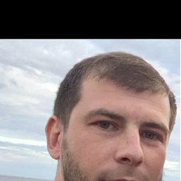 ����, �����-���������, 41 ���