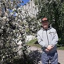 ���� �����, ����������, 37 ��� - ��������� 9 ��� 2019 � ������ �����������100�