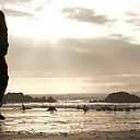 ���� 1elnur, ����, 42 ���� - ��������� 1 ��� 2019 � ������ ������ ��������