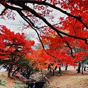 ���� ������, ���� - ��������� 25 ������ 2019 � ������ ���� ����������