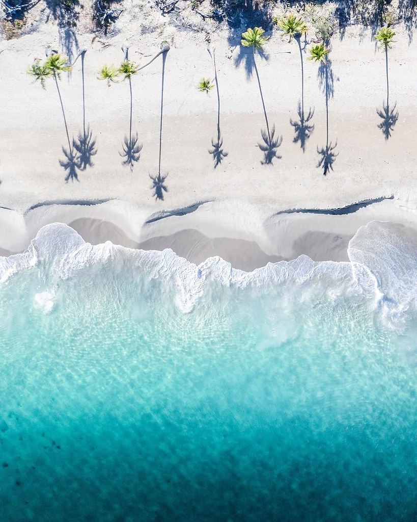 ���������.� ���o� ������ �� �������� �o������? - 10