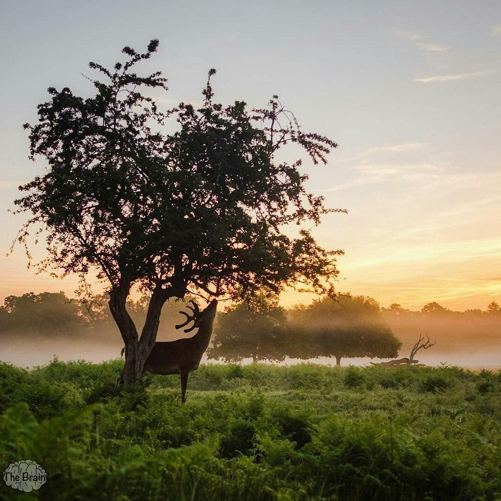 �����������, ��� ����� ������� ���� ��� ������ � ����� ��������. ����� ���������� ����������� - 9