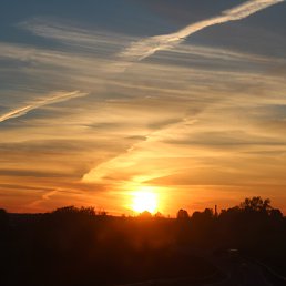 ���� ����, ������ �������� - ��������� 6 �������� 2019