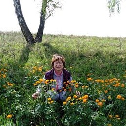 , 58, 